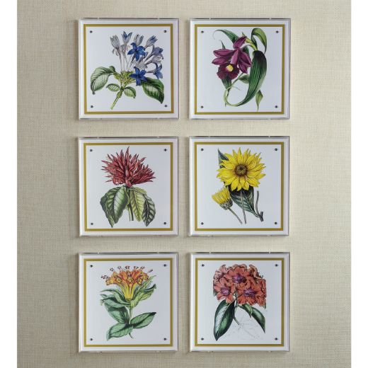 Picture of Paxton Flower Yellow