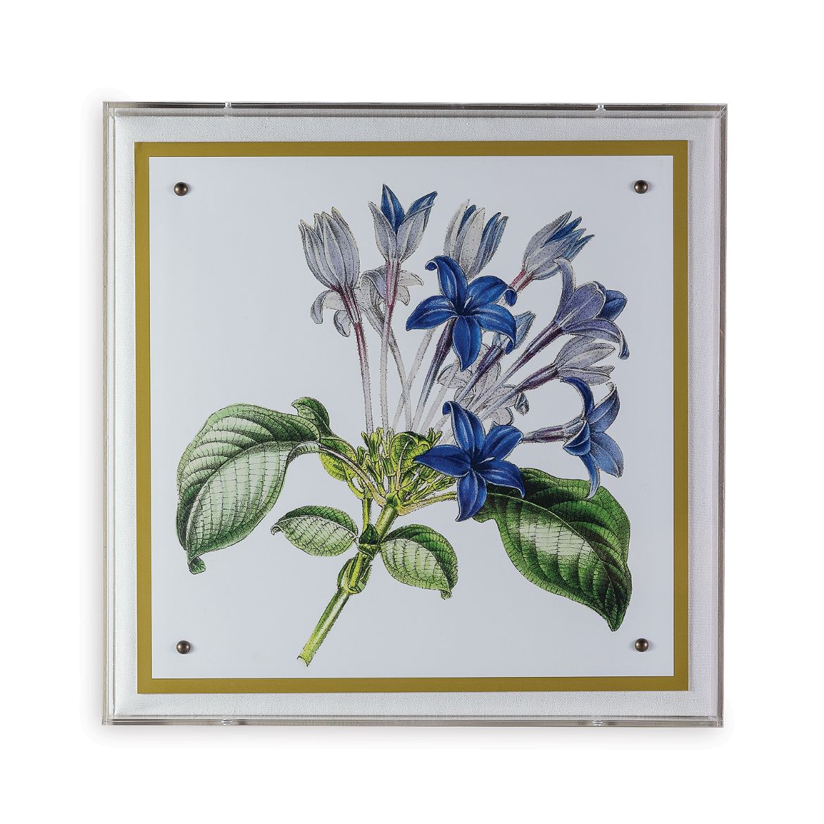 Picture of Paxton Flower Blue