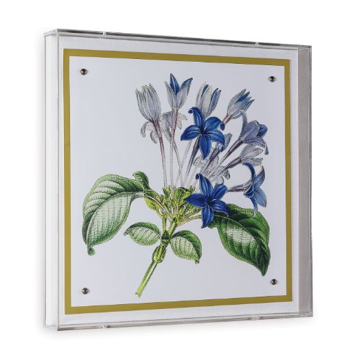 Picture of Paxton Flower Blue