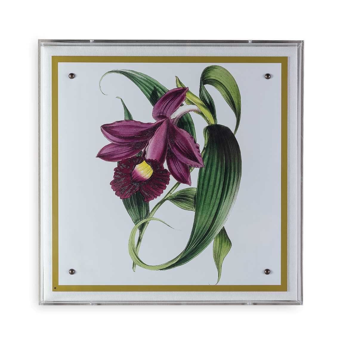 Picture of Paxton Flower Purple
