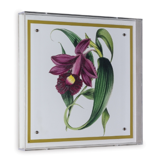 Picture of Paxton Flower Purple
