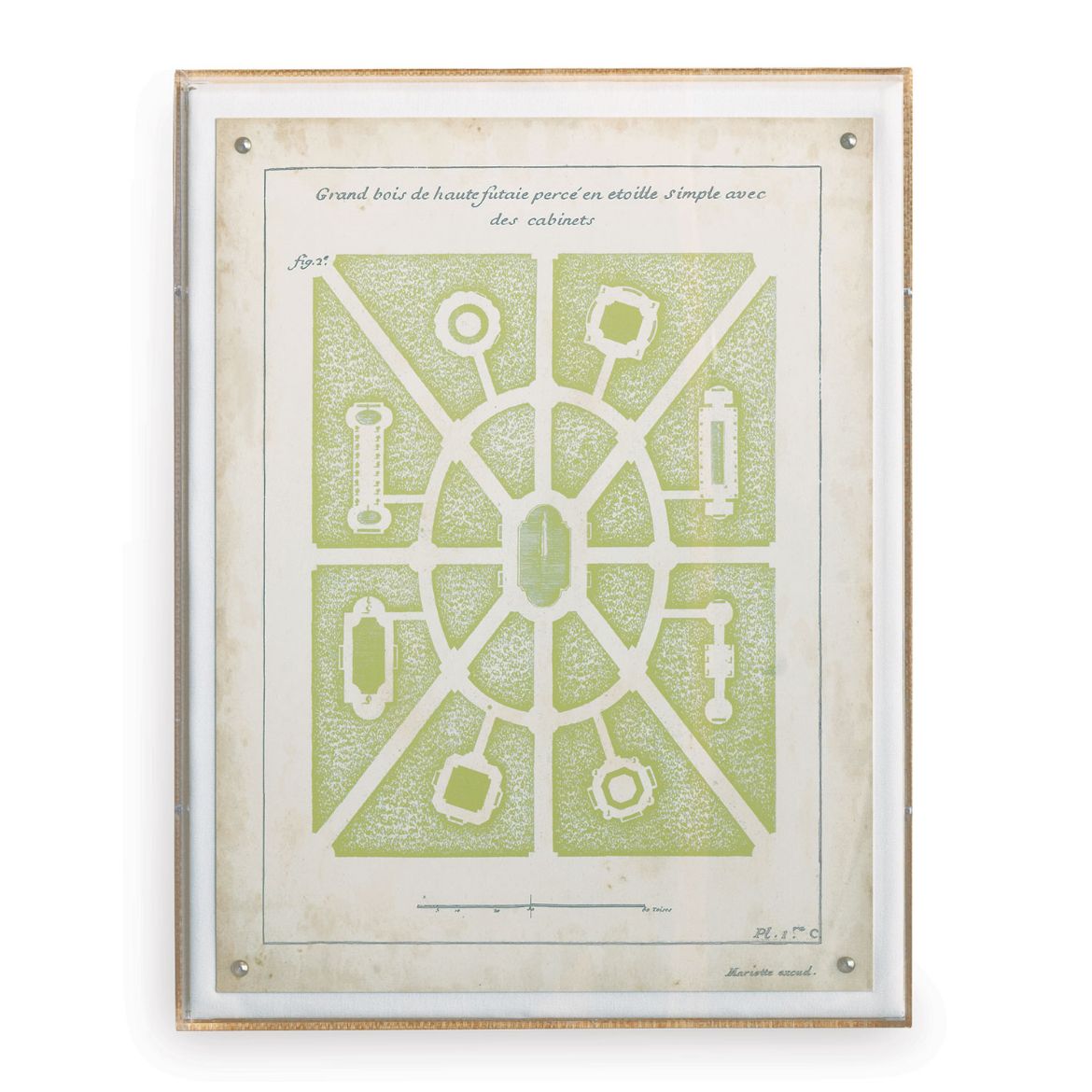 Picture of Garden Parterre II