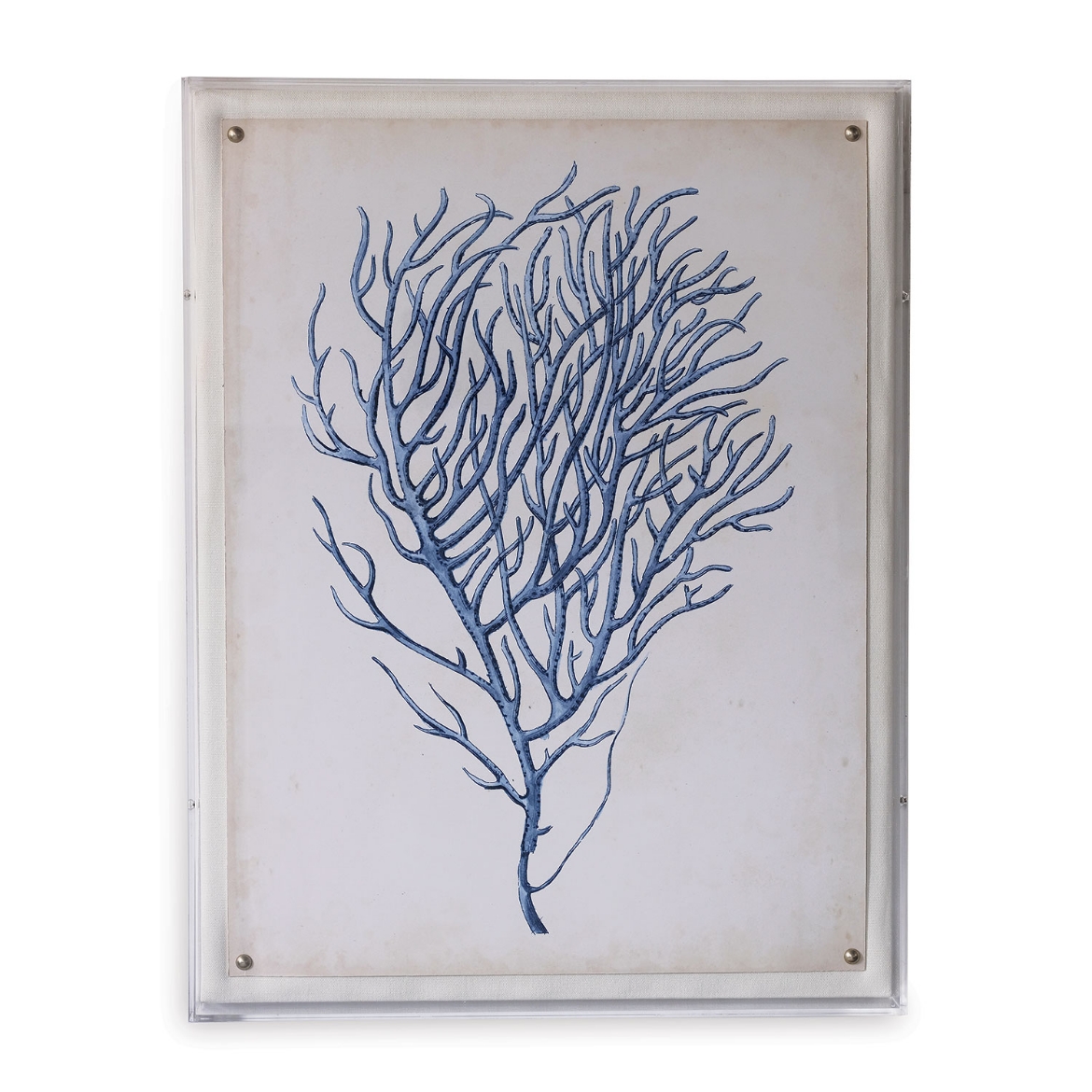 Picture of Coral I