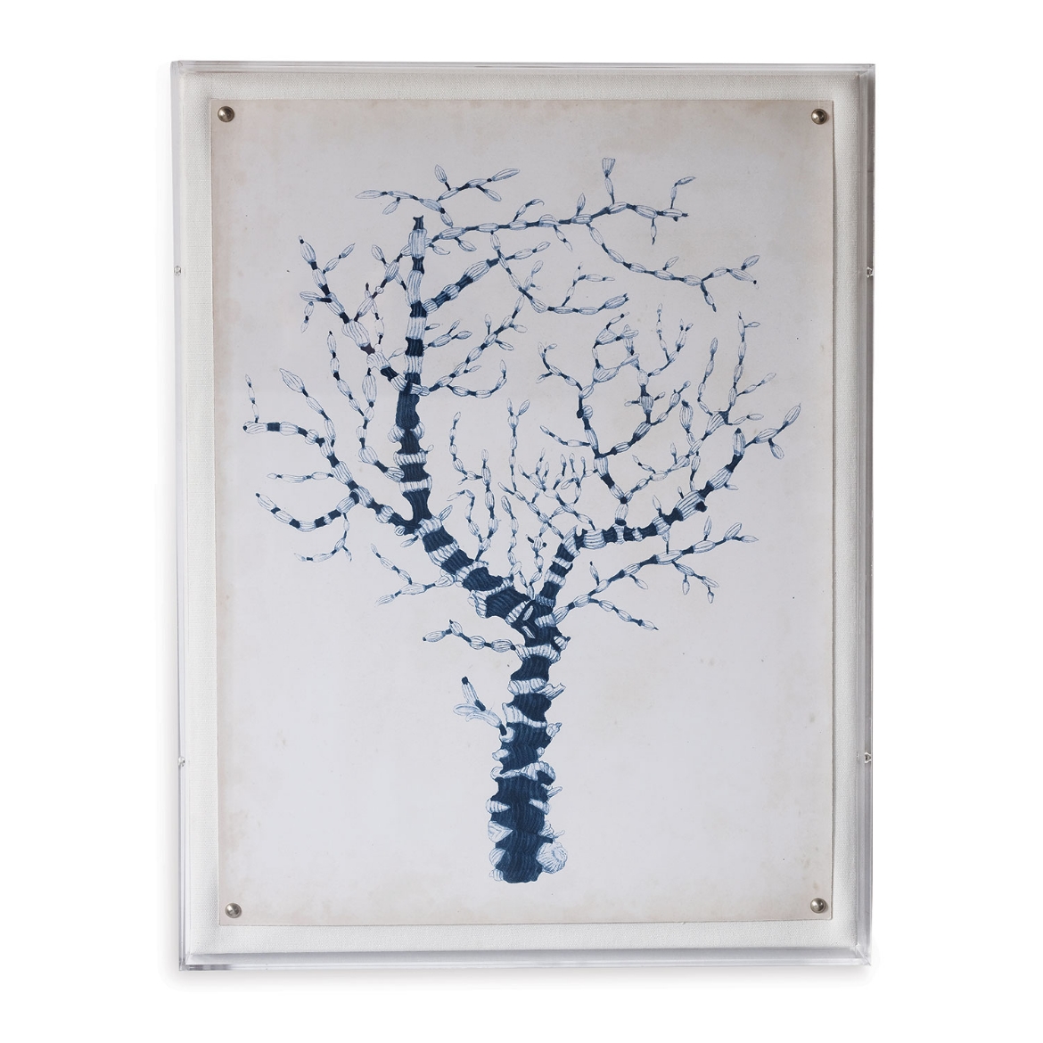 Picture of Coral II
