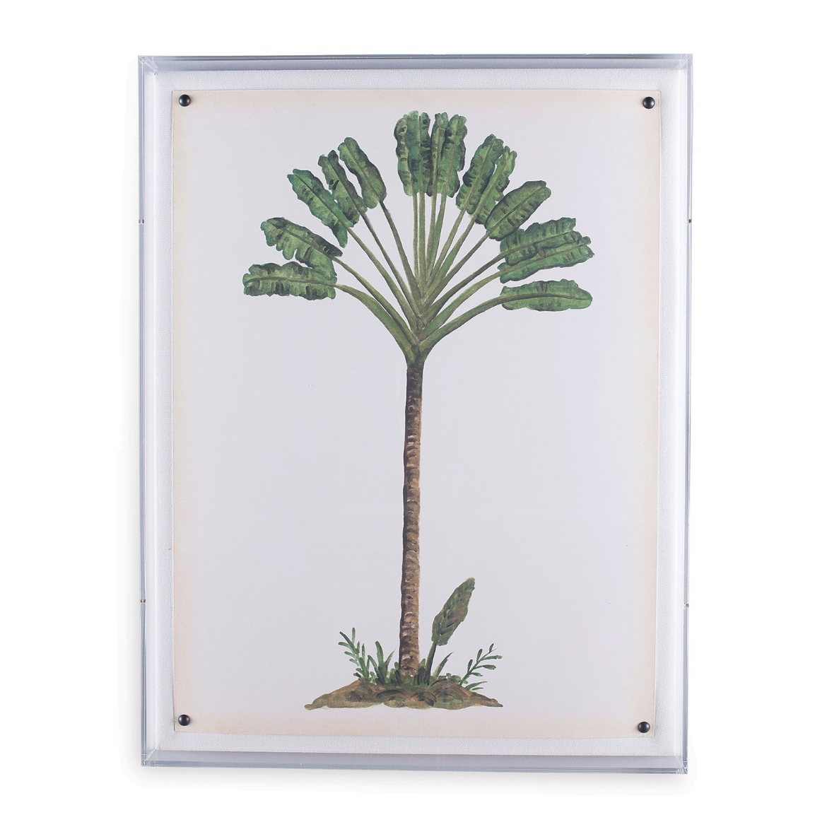 Picture of Palm Tree I