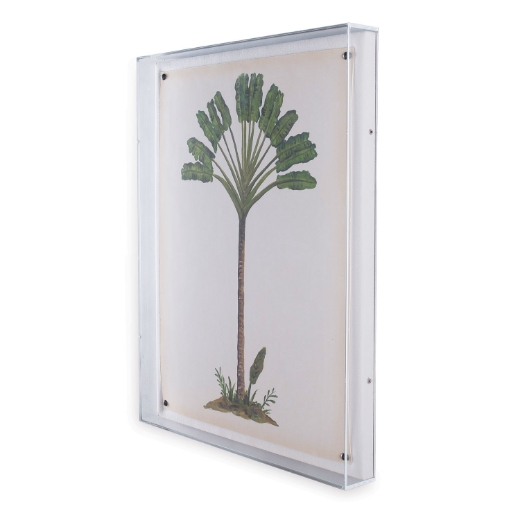 Picture of Palm Tree I