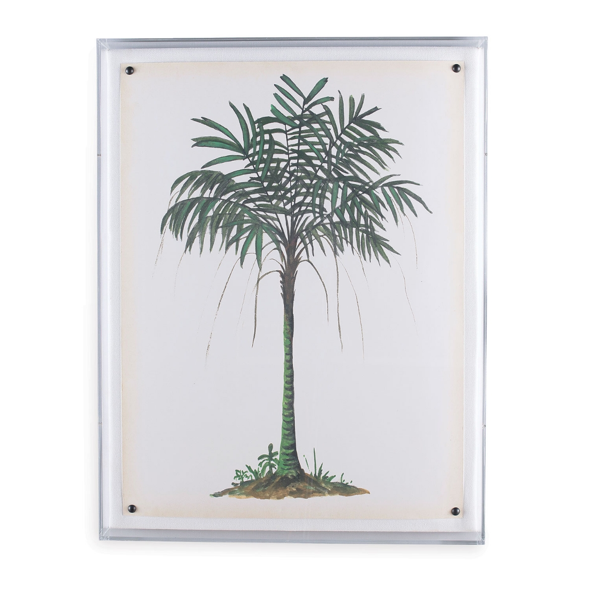 Picture of Palm Tree II