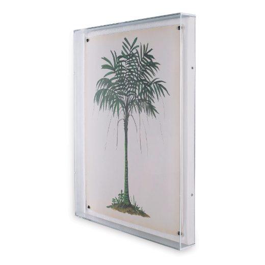Picture of Palm Tree II