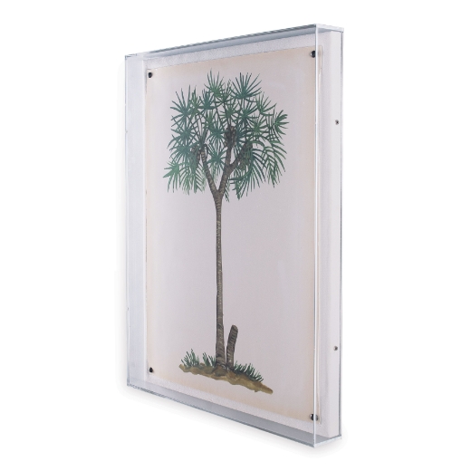 Picture of Palm Tree III