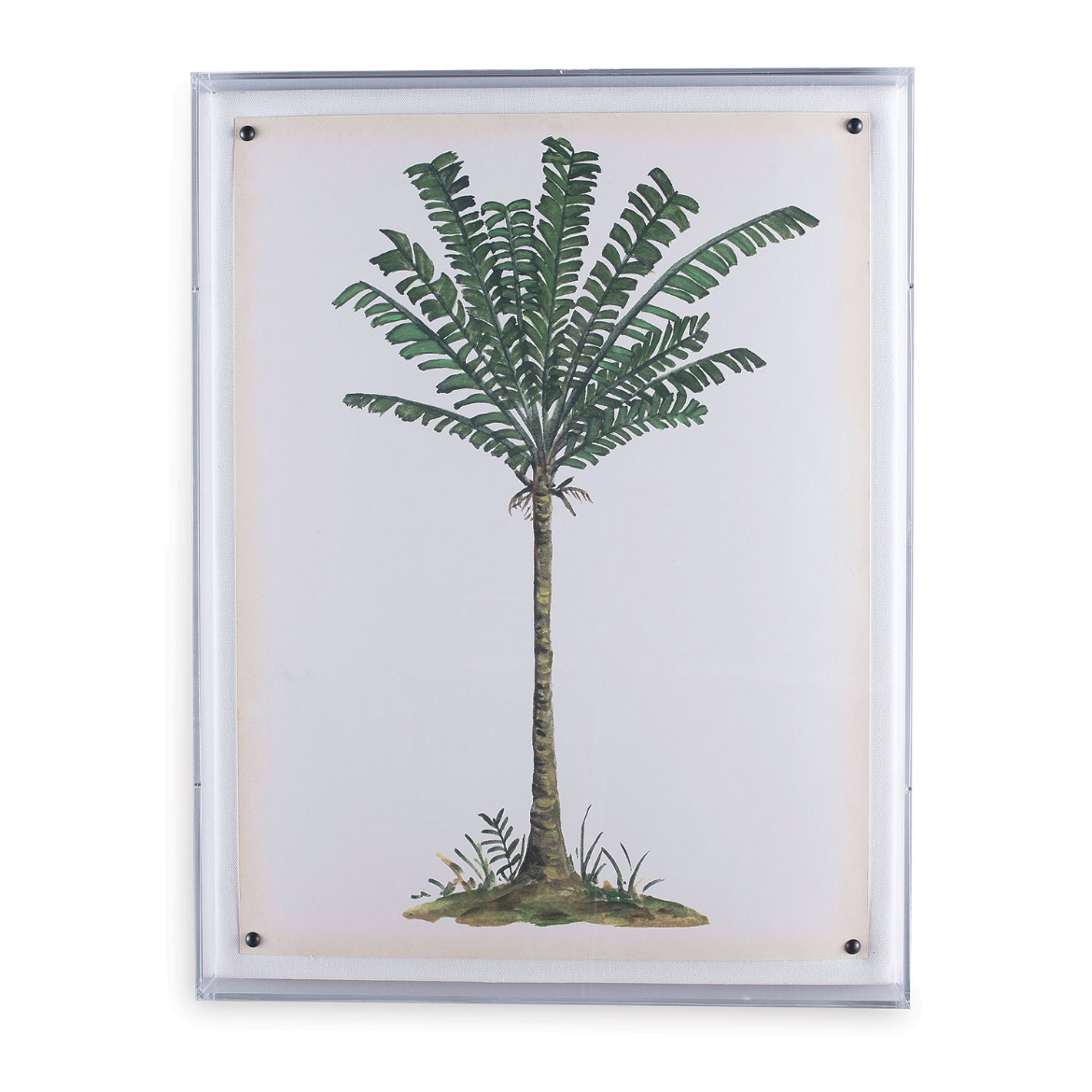 Picture of Palm Tree IV