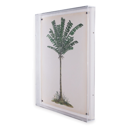 Picture of Palm Tree IV